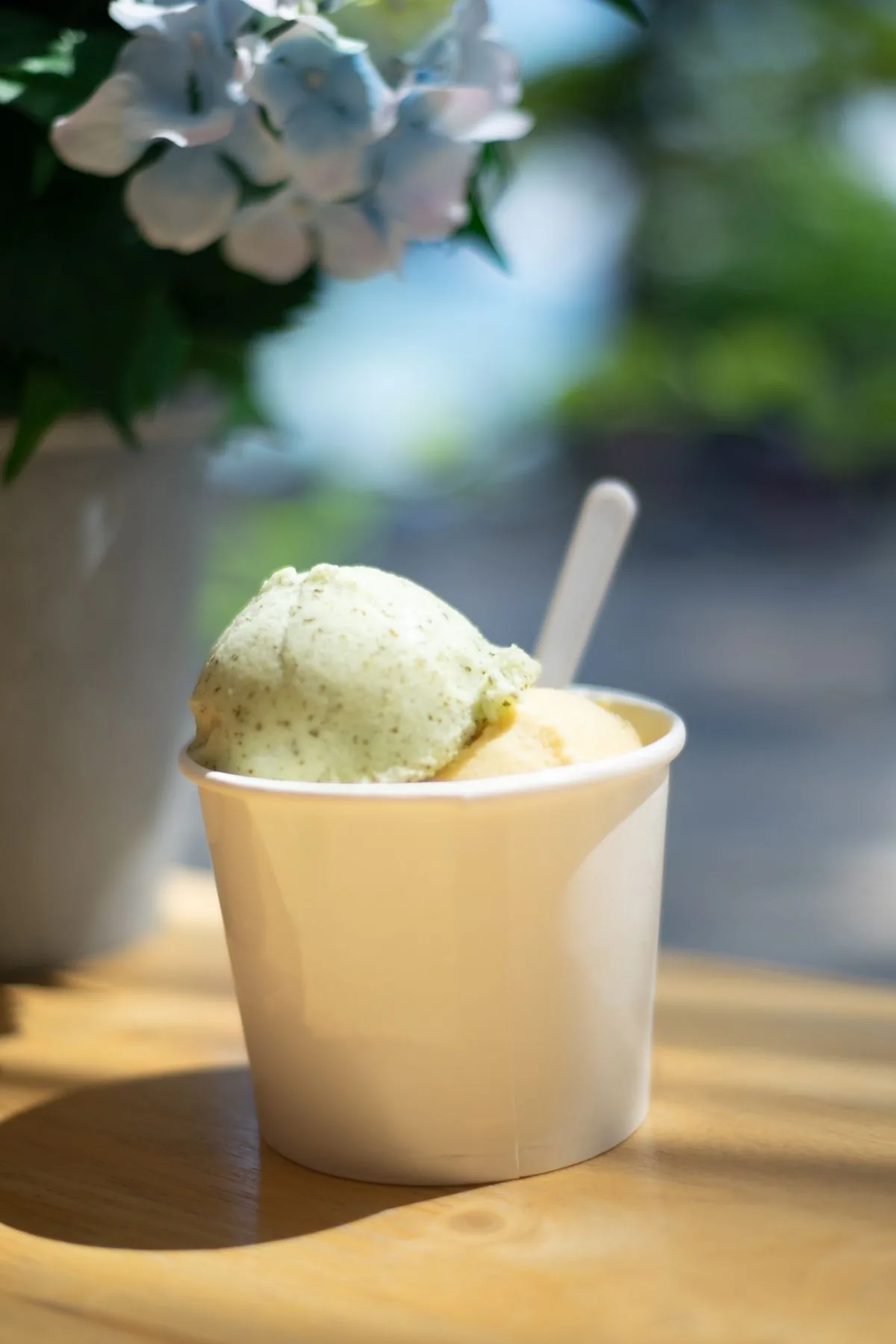 Two scoops of gelato in a paper cup